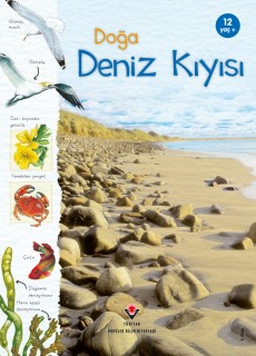 Doğa - Deniz Kıyısı