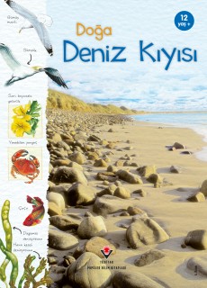 Doğa - Deniz Kıyısı