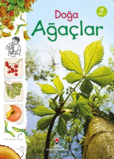 Doğa - Ağaçlar