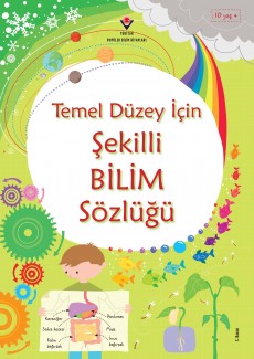 Temel Düzey İçin Şekilli...