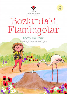Bozkırdaki Flamingolar
