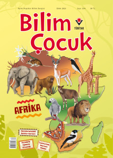 Bilim Çocuk (Ekim 2025)