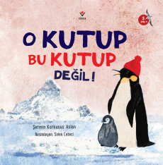 O Kutup Bu Kutup Değil!