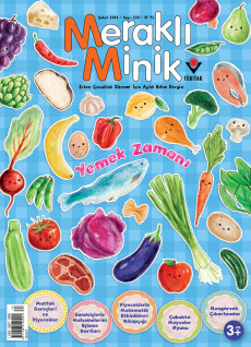 Meraklı Minik (Şubat 2026)