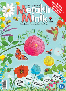 Meraklı Minik (Nisan 2026)