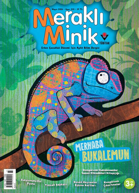 Meraklı Minik