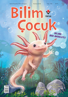 Bilim Çocuk (Haziran 2026)