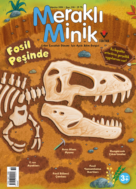 Meraklı Minik