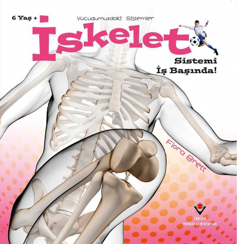 Vücudumuzdaki Sistemler - İskelet Sistemi İş Başında!