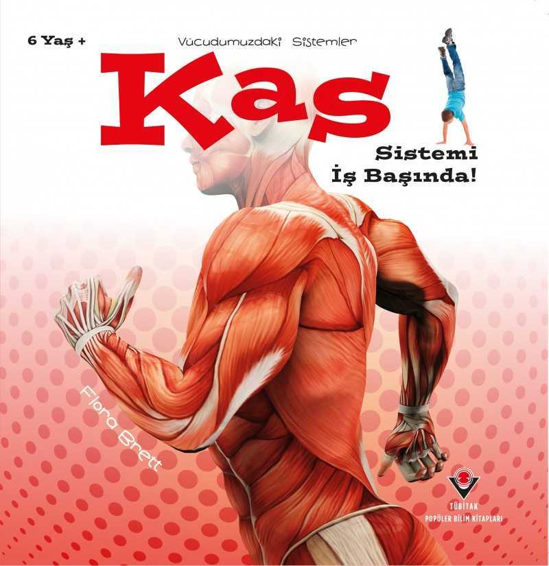 Vücudumuzdaki Sistemler - Kas Sistemi İş Başında!