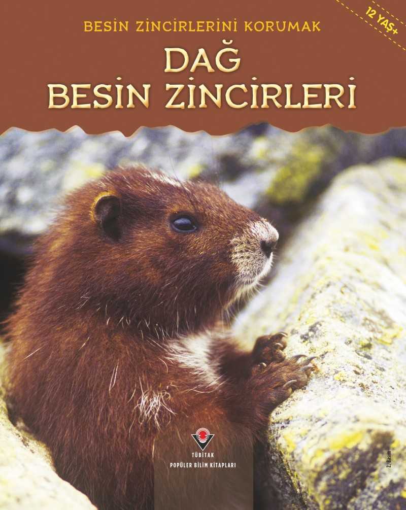 Besin Zincirlerini Korumak - Dağ Besin Zincirleri