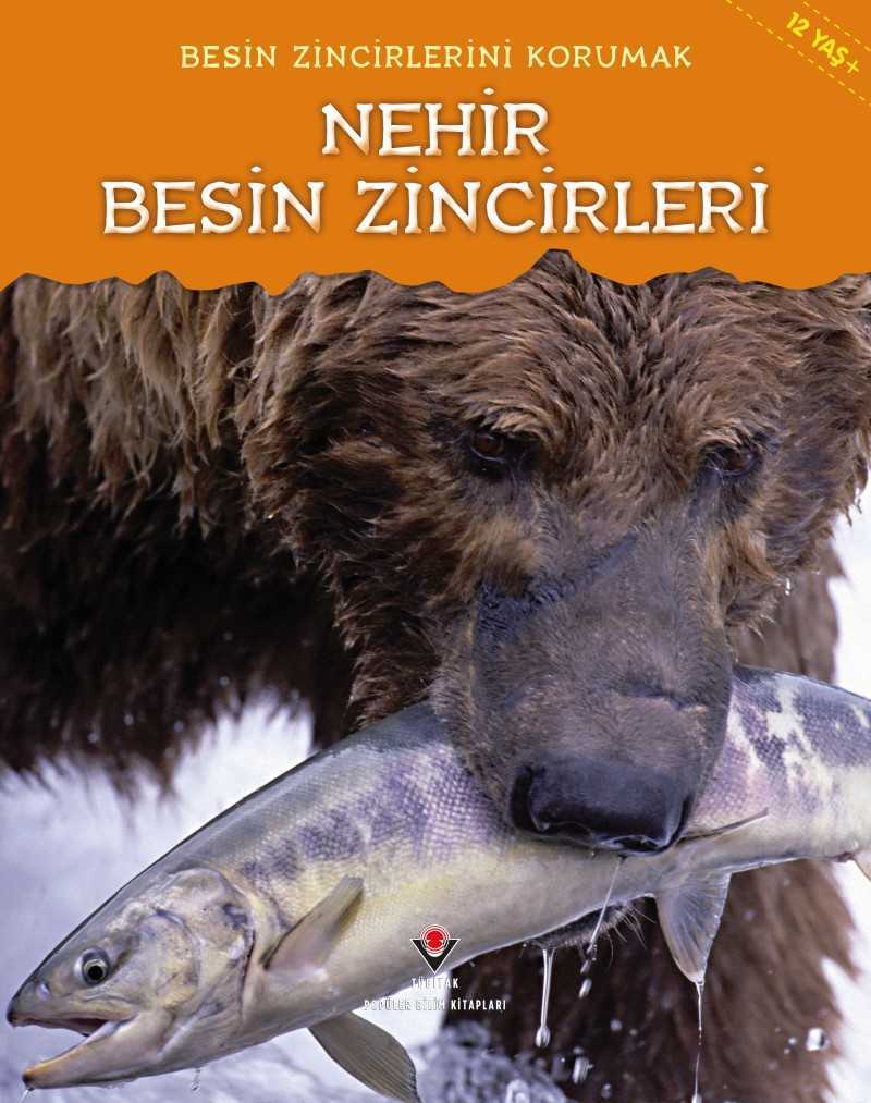 Besin Zincirlerini Korumak - Nehir Besin Zincirleri