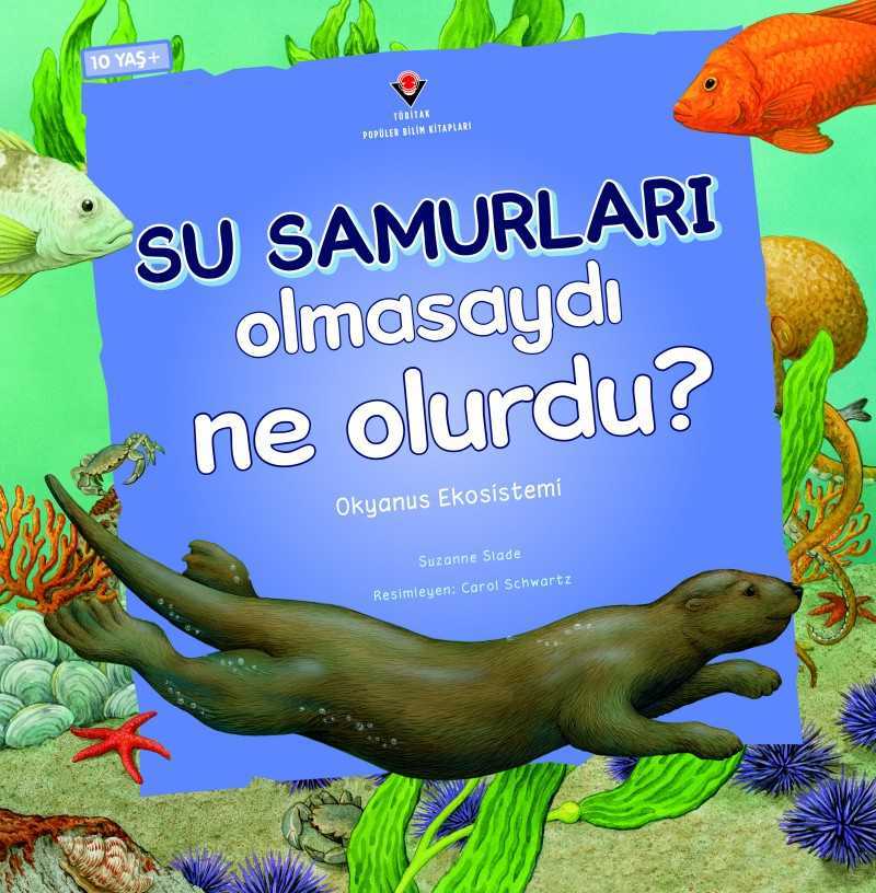 Besin Zinciri Tepkimeleri - Su Samurları Olmasaydı Ne Olurdu? - Okyanus Ekosistemi