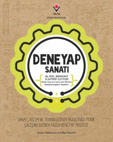 Deneyap Sanatı